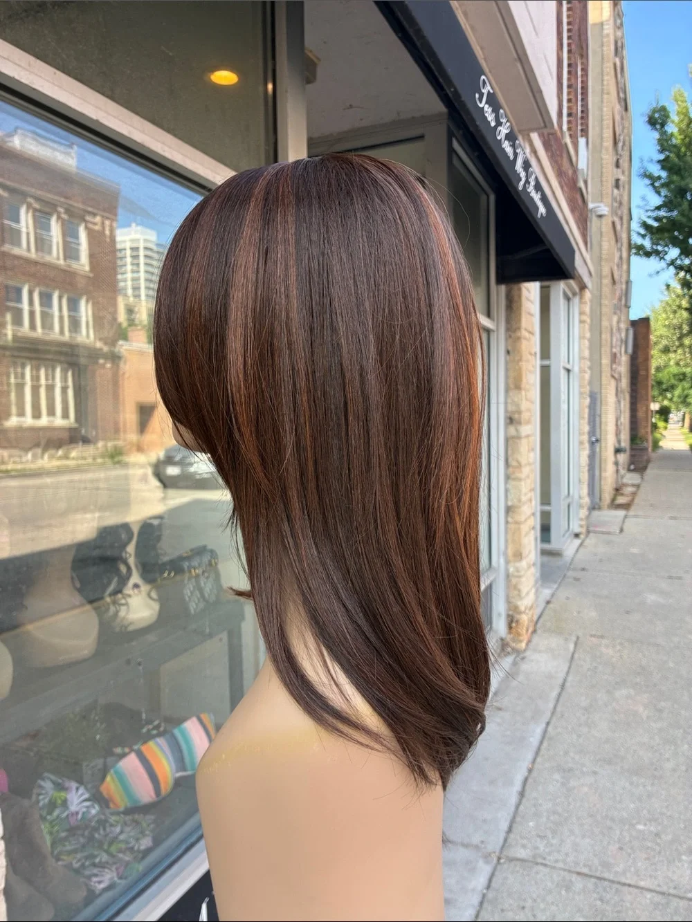 Brown Straight Layered Women's Wig - Sleek Natural Finish